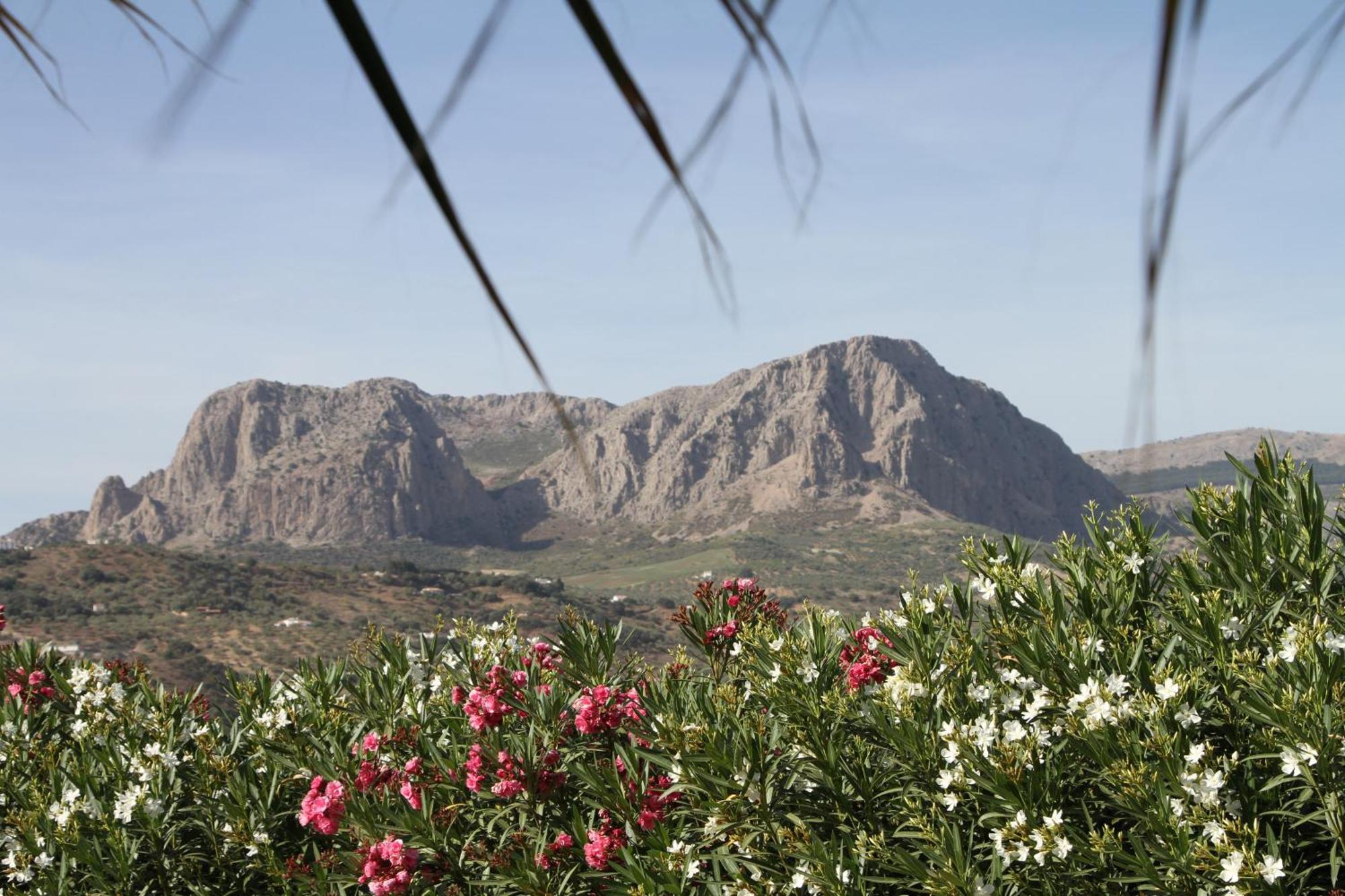 Bed and Breakfast Hacienda Riogordo Екстер'єр фото