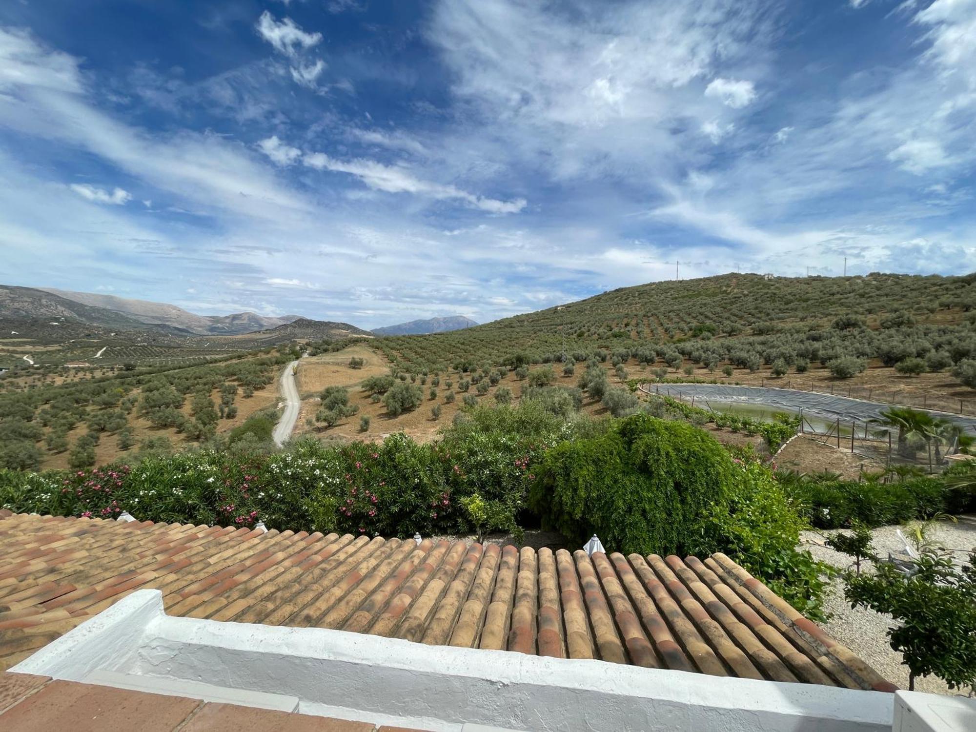 Bed and Breakfast Hacienda Riogordo Екстер'єр фото