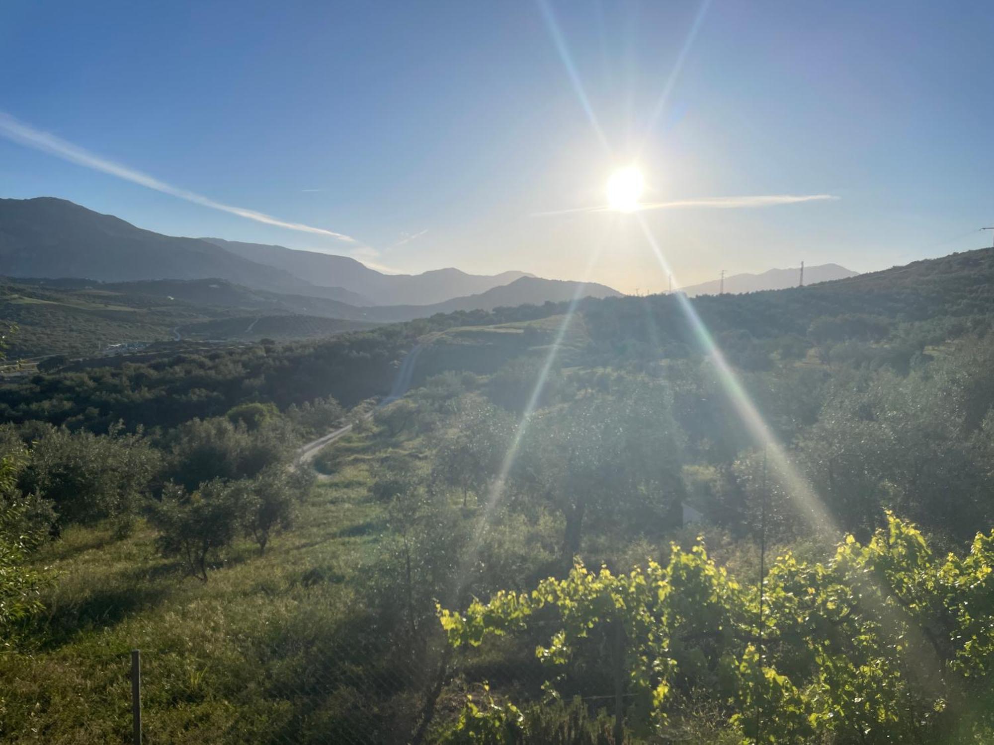 Bed and Breakfast Hacienda Riogordo Екстер'єр фото
